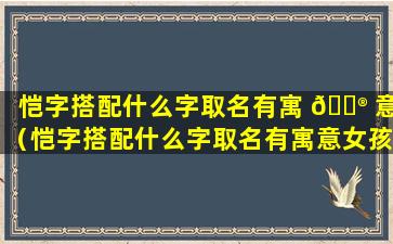 恺字搭配什么字取名有寓 💮 意（恺字搭配什么字取名有寓意女孩）